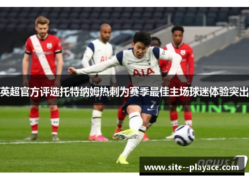 英超官方评选托特纳姆热刺为赛季最佳主场球迷体验突出
