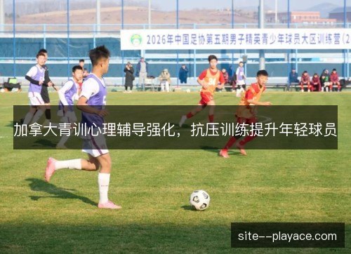 加拿大青训心理辅导强化，抗压训练提升年轻球员
